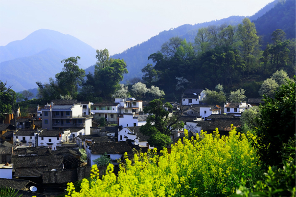 2013年踏春赏花季：三四月玩转婺源全攻略